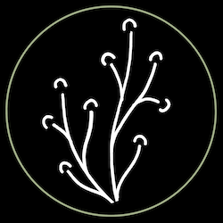 thebasiccotton-footer-logo2